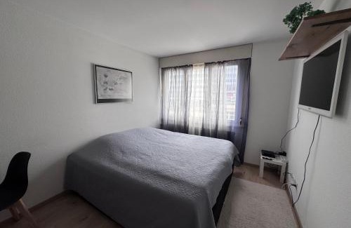 Sandrain Apartamento | Zentrale 1-Zimmer-Wohnung Marzili Bern