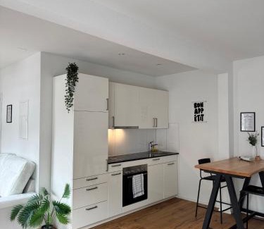 St. Gallen Apartamento | Zentrales Apartment St Gallen an der Olma