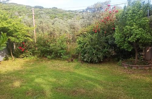 Lefokastron Casa | Zephyr Guest House