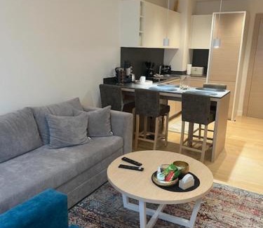 Vrnjacka Banja Apartamento | Zepterme lux