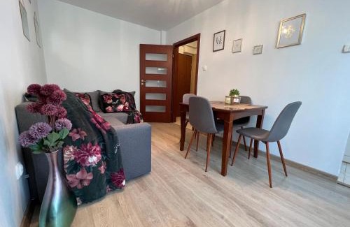 Zgierz Apartamento | Zgierz Parzęczewska District