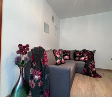 Zgierz Apartamento | Zgierz Parzęczewska District