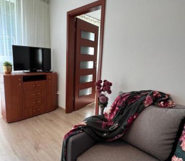 Zgierz Apartamento | Zgierz Parzęczewska District