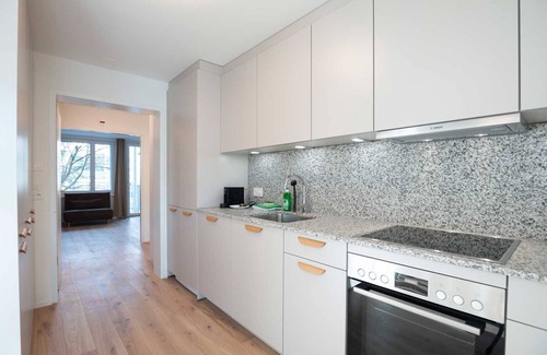 Center Apartamento | ZH Pink GF - Letzigrund HITrental Apartment