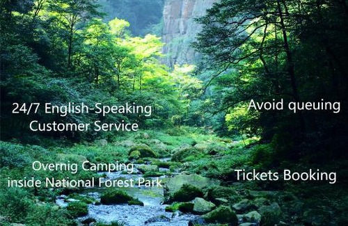 Wulingyuan Otro | Zhangjiajie National Forest Park Camping