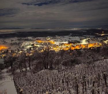 Semic Casa | Zidanica-Vineyard Cottage Jakše