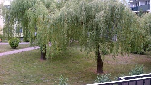 Lublin Apartamento | Zielona Herbowa