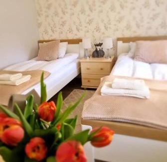 Lapalice Casa | Zielono Mi - Dom Gościnny w Łapalicach