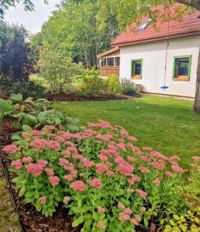 Narty Casa | Zielony Domek w Nartach - Mazury