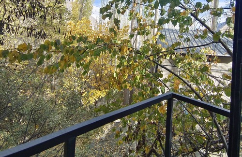 Hunza Chalet De Esquí | Eco Friendly Twin-Bed Chalet in Karimabad Hunza