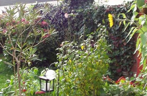 Utersum Casa | Zim. 1 - Hotel Garni Zur Post
