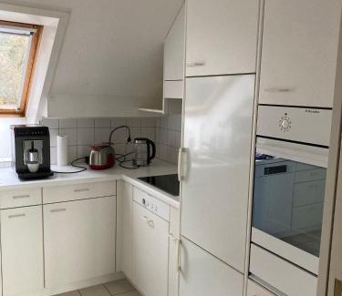 Schaffhausen Apartamento | Zimmer direk am Waldrand mit Ausblick über Schaffhausen und Wohnzimmer mit Kamin