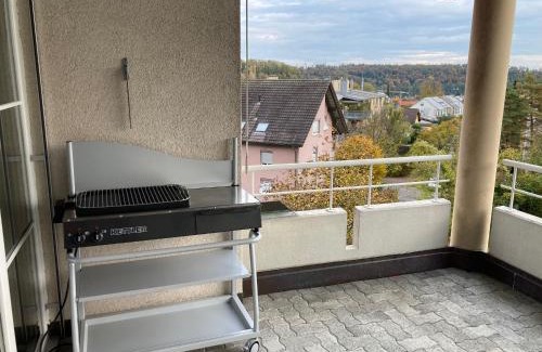 Schaffhausen Apartamento | Zimmer direk am Waldrand mit Ausblick über Schaffhausen und Wohnzimmer mit Kamin
