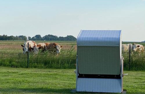 Zingst Apartamento | Zingst Haus Hugo
