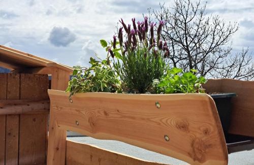 Reichenau Apartamento | Zirbennest