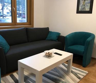 Zlatibor Apartamento | Zlatibor apartmani Jakovljevic