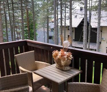 Zlatibor Apartamento | Zlatibor apartmani Jakovljevic