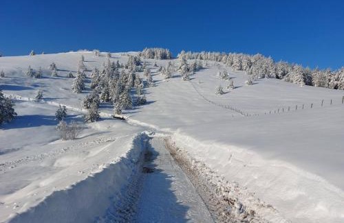 Zlatibor Chalet De Esquí | Zlatibor Sky Inn