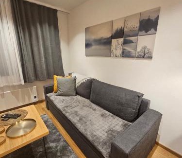 Jahorina Apartamento | Zlatni Javor, Apartment 408