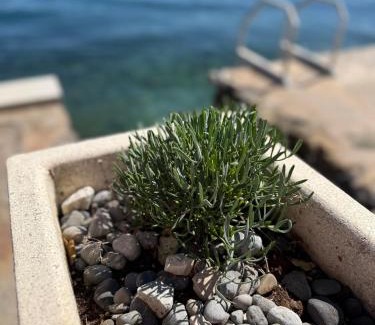 Krasici Apartamento | Zo-Mi Apartments