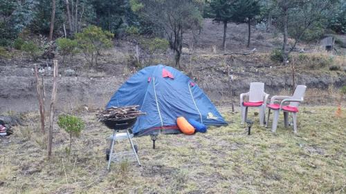 Mongui Otro | Zonas Camping NaturaLove