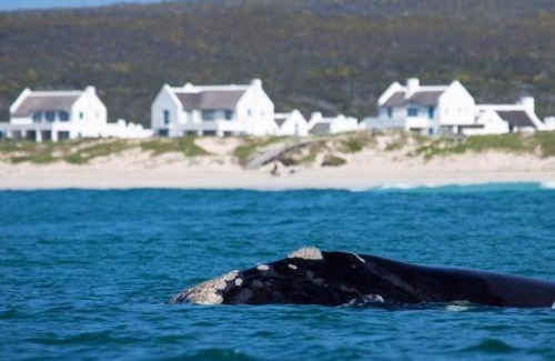 Struisbaai Casa | Zuidste Huisie Fisherman's Cottage