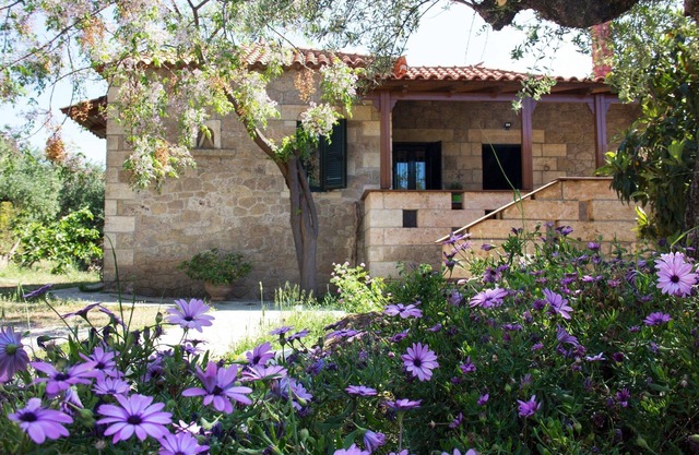 Casa de campo tradicional situada en la tranquilidad del olivar.