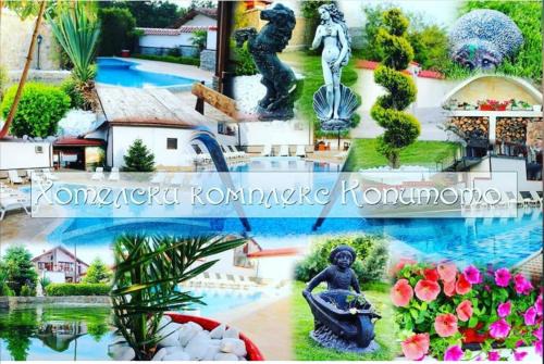 Комплекс Копитото