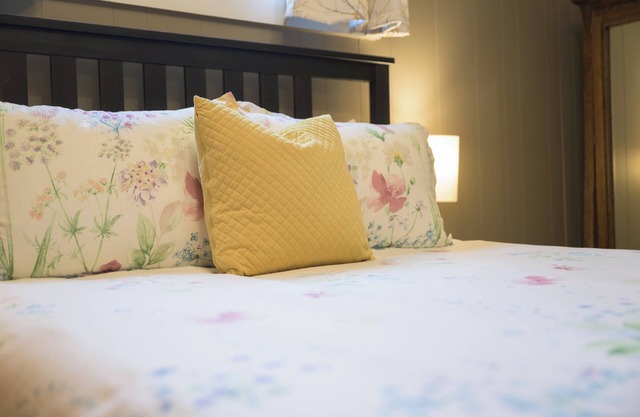 One Bedroom Home with AC in Goosetown
