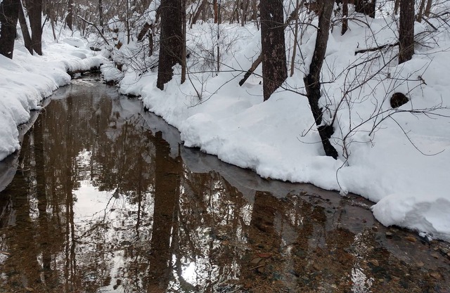 Creek Side Cabin 10 min del centro de Prescott