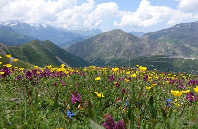 Casa de pueblo de 110m² completamente reformada - Besse en Oisans