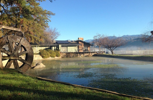 Rancho de 12 acres con vacas cerca de 2-10 personas de la Sequoia (consultar por más de 3 noches)