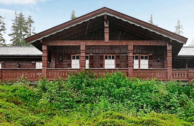 14 personas casa en TRYSIL