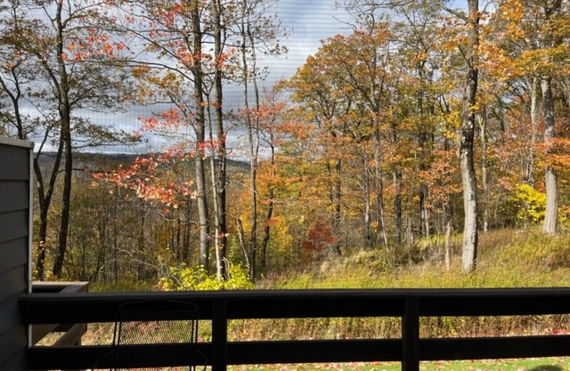 ☀️ Summer Escape w/ Scenic Views, Pool Access & Pet-Friendly Comfort 🏞️🐾🏊‍♀️