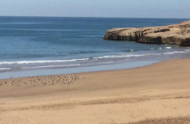 2 apartamentos en una residencia segura y bien ubicada, a 200 metros de la playa