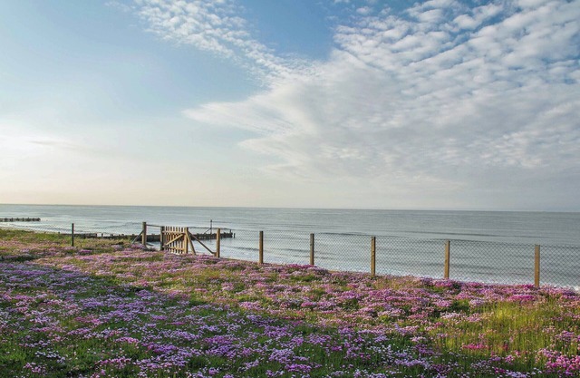 Alojamiento de 2 habitaciones en Walcott, near Happisburgh