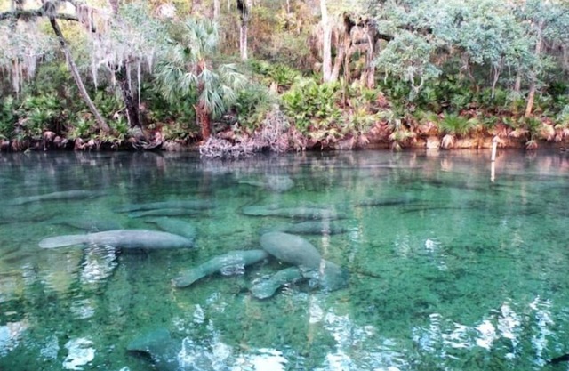 3 acre w/ private trail 15 min walk to the springs
