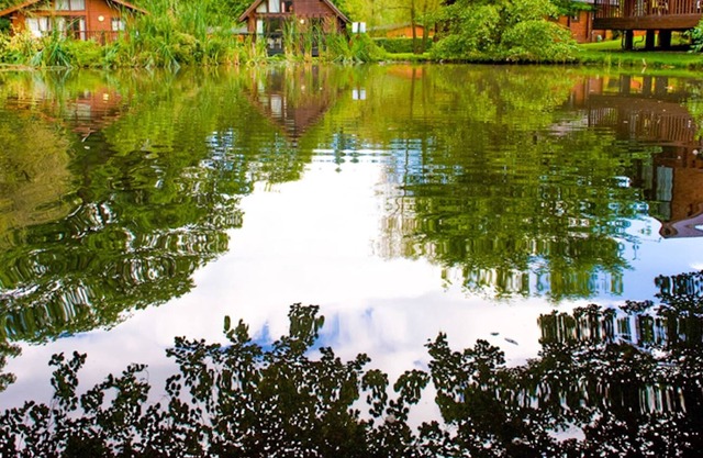 3 bedroom accommodation in Forest of Dean