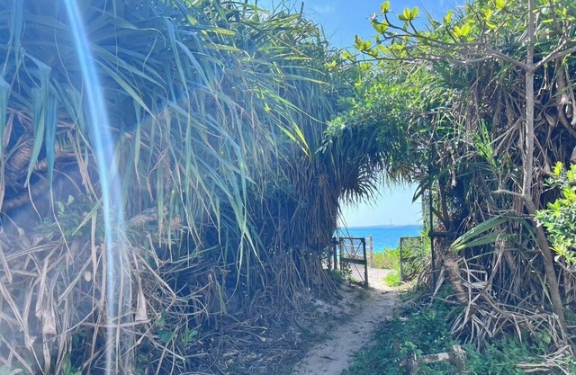 30 sec walk to the sea15 min drive to the resort / Kunigamigun Okinawa