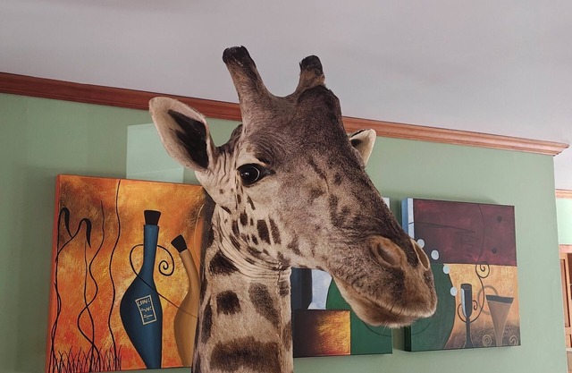 Casa de 5 dormitorios en Toftrees en entorno privado en campo de golf
