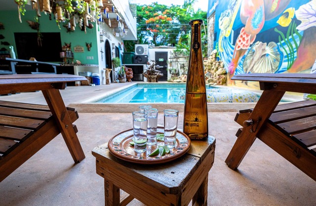 5BR Boutique Hotel in Punta Sur