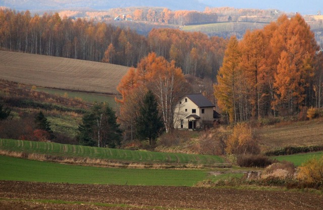 A small guesthouse in the hills of Biei - Hill / Kamikawa-gun Hokkaidō