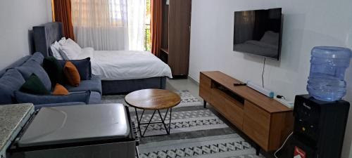 Affordable Studio Apartment Kasarani Seasons