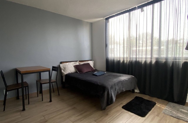Agradable/comodo/centrico apartamento en CDMX (#6)