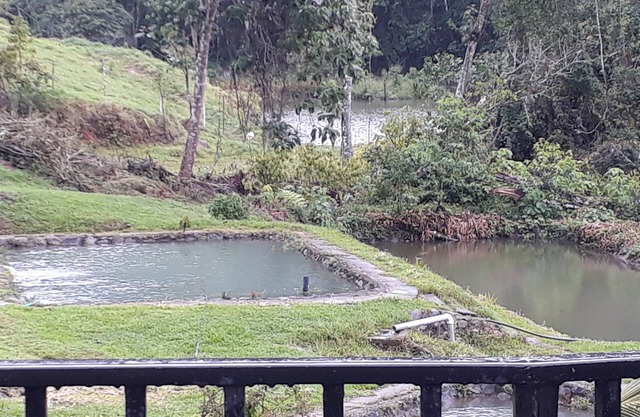 Hospedaje Agua Azul