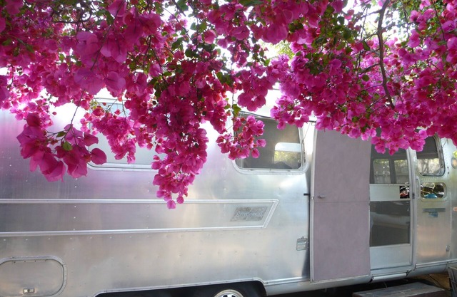 AIRSTREAM patio trasero privado glamping Mar Vista oasis GATED patio ducha al aire libre