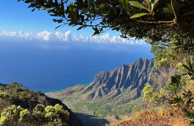 Albatross Ohana~Top location~3 bedroom house w/ loft, waterfall views~ small pet