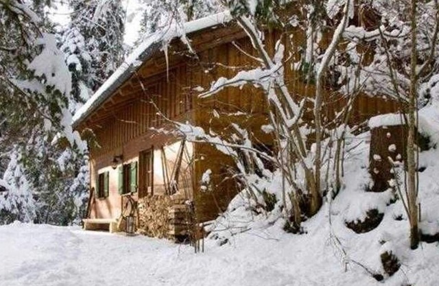 Almhaus Webermohof - Almhaus exclusivo con jacuzzi en el jardín