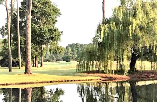 Amazing Spacious Golf View Condo