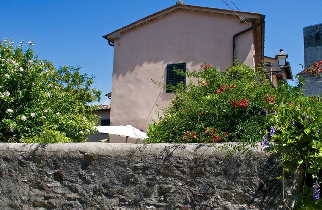 Restaurada casa con jardín en pueblo medieval - El jardín secreto